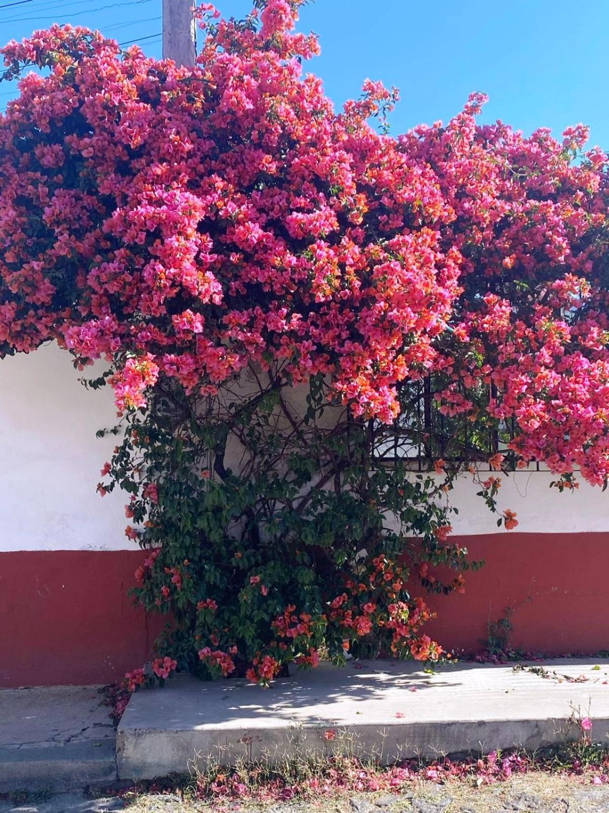 Hotel Posada Camelinas パツクアロ エクステリア 写真